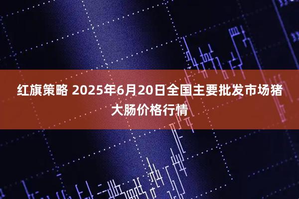 红旗策略 2025年6月20日全国主要批发市场猪大肠价格行情