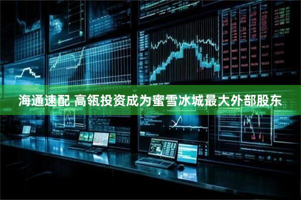 海通速配 高瓴投资成为蜜雪冰城最大外部股东