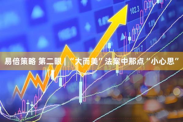 易倍策略 第二眼 | “大而美”法案中那点“小心思”