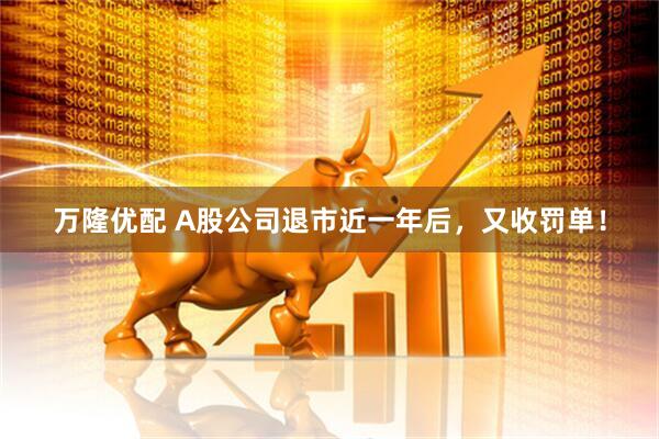 万隆优配 A股公司退市近一年后，又收罚单！