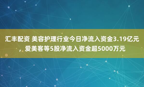 汇丰配资 美容护理行业今日净流入资金3.19亿元，爱美客等5股净流入资金超5000万元
