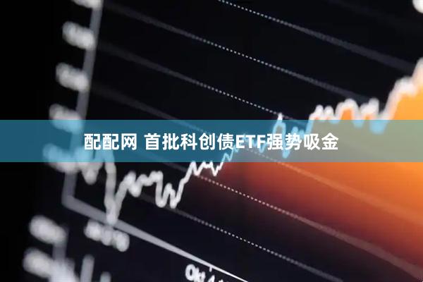 配配网 首批科创债ETF强势吸金